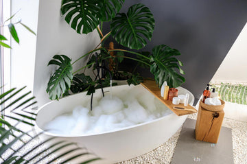 Traditional Bathtubs A Timeless Classic for Your Bathroom