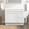 Bath Vanity Cabinet Only CVD LR