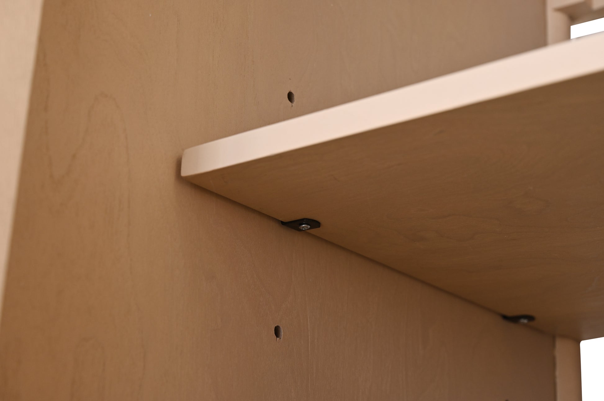 Interior view of bathroom vanity cabinet showing adjustable shelf with soft-close hinge hardware