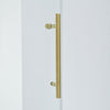 Frameless Sliding Shower Door with Explosion Proof Clear Glass SH676-08